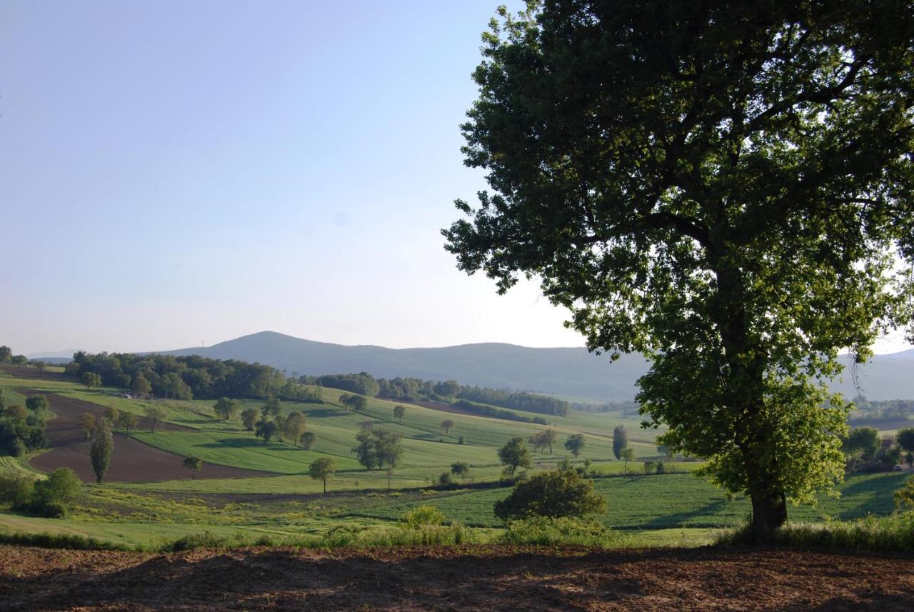 Casa Verdi Colli Montecastrilli ภายนอก รูปภาพ